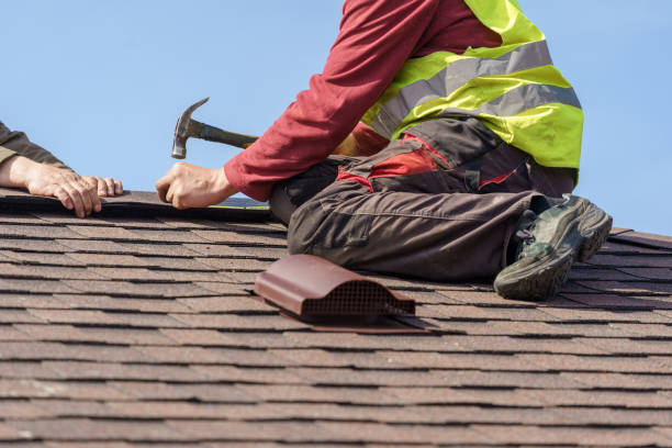 Best Metal Roofing Contractor  in Montrose, MI