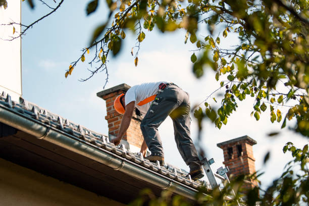 Best New Roof Installation  in Montrose, MI