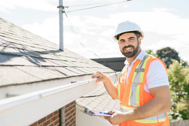 Best Roof Gutter Cleaning  in Montrose, MI