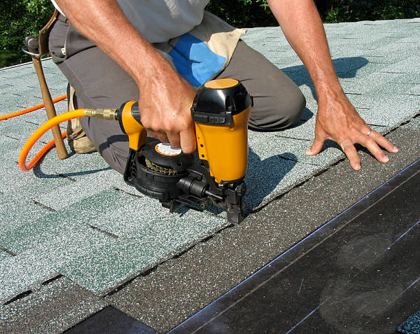 Best Shingle Roofing Installation  in Montrose, MI