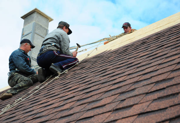 Best Roof Restoration Services  in Montrose, MI