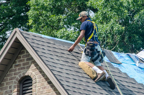 Best Shingle Roofing Installation  in Montrose, MI