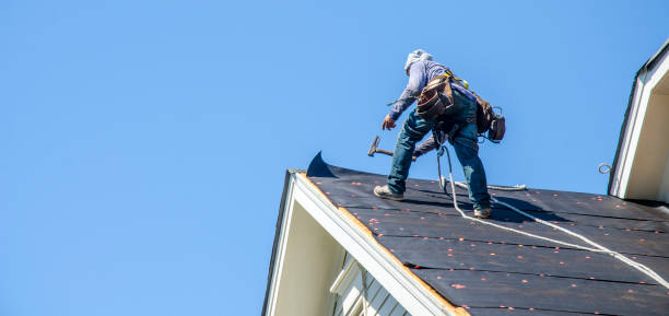 Best Affordable Roofing Company  in Montrose, MI